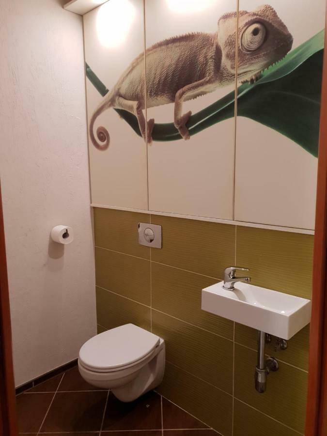 Apartament Szafir Zelená Hora Exteriér fotografie